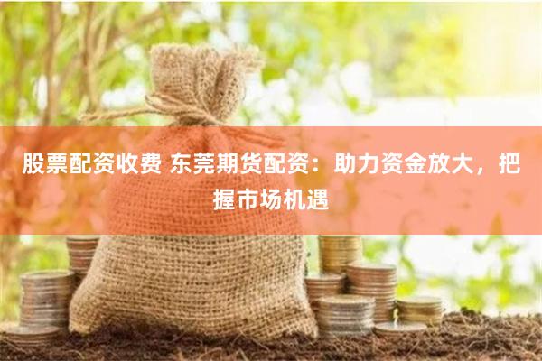 股票配资收费 东莞期货配资：助力资金放大，把握市场机遇