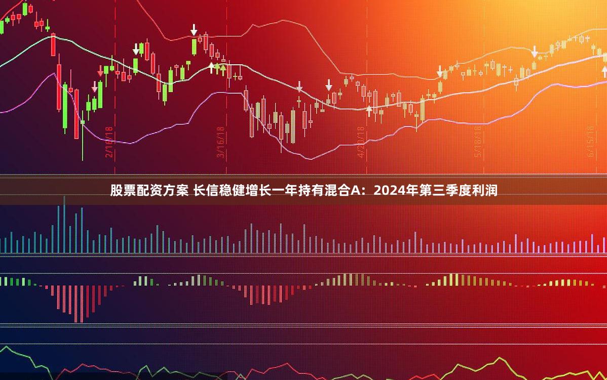 股票配资方案 长信稳健增长一年持有混合A：2024年第三季度利润
