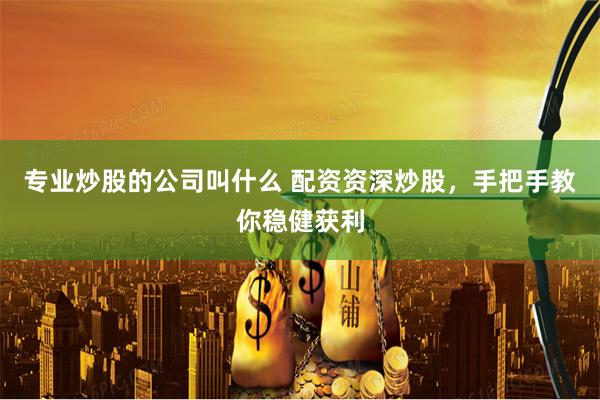 专业炒股的公司叫什么 配资资深炒股，手把手教你稳健获利